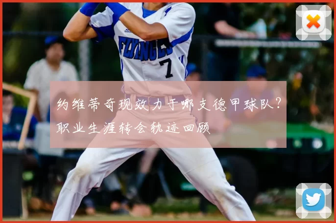 约维蒂奇现效力于哪支德甲球队？职业生涯转会轨迹回顾