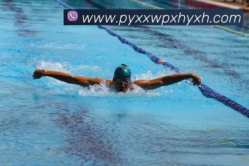 爱游戏体育发展历程